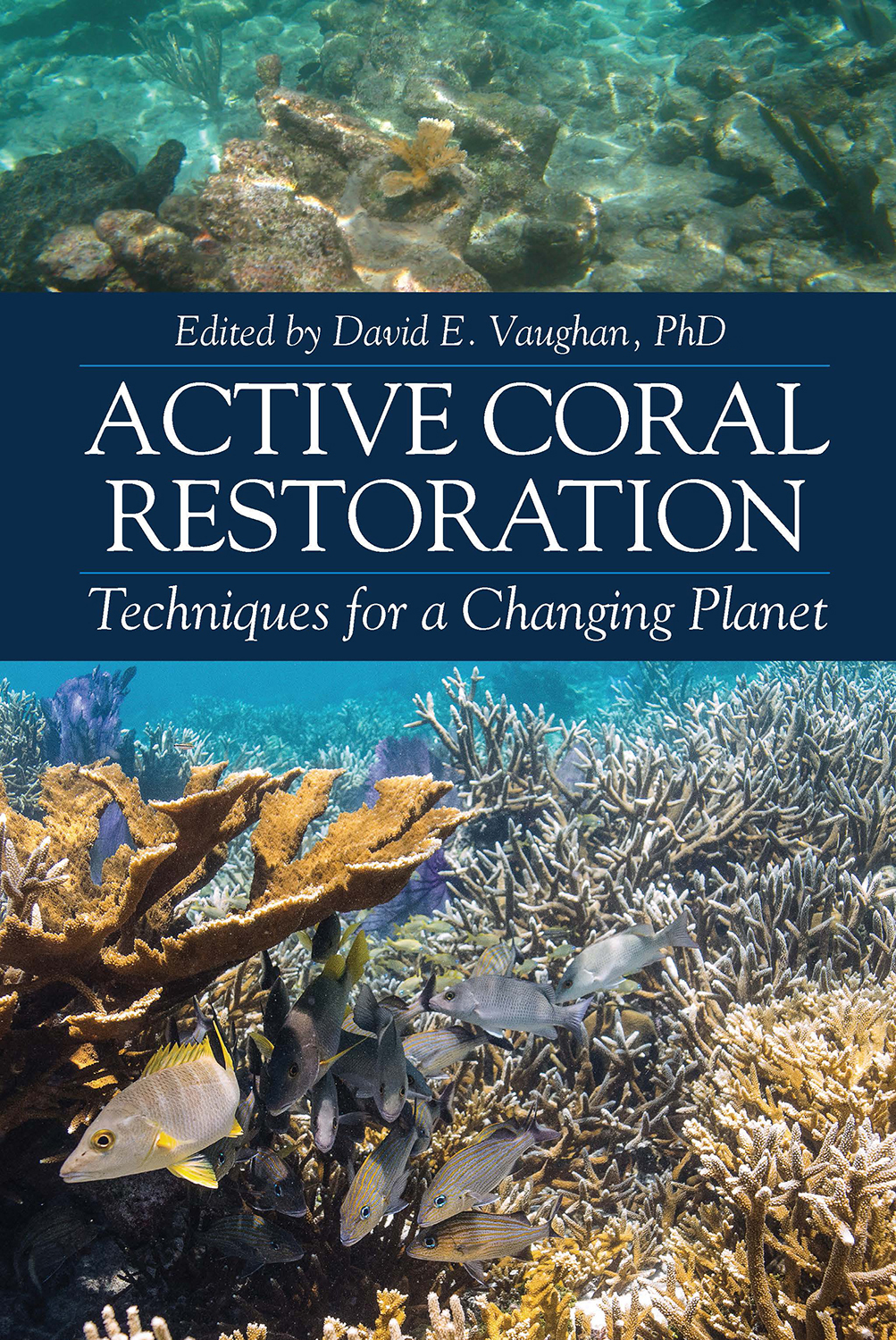 Active Coral Restoration