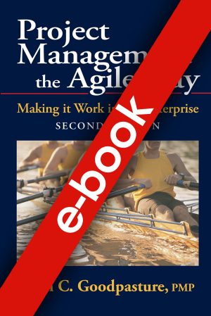Project Management the Agile Way e-book