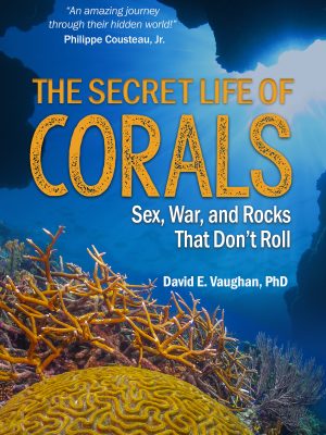 Secret Life of Corals