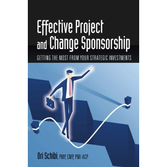 Effective Project and Change Sponsorship