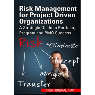 Risk Management for Project Driven Organizations