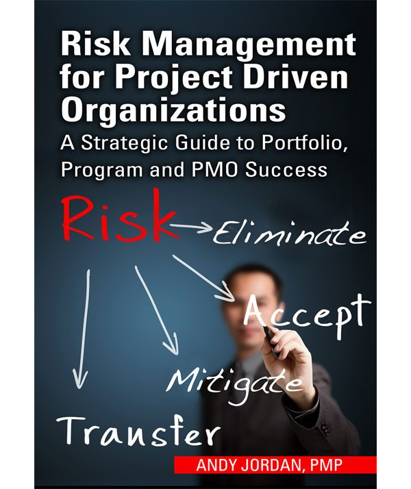 Risk Management for Project Driven Organizations