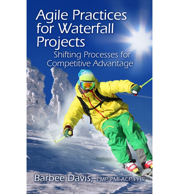 Agile Practices for Waterfall Projects