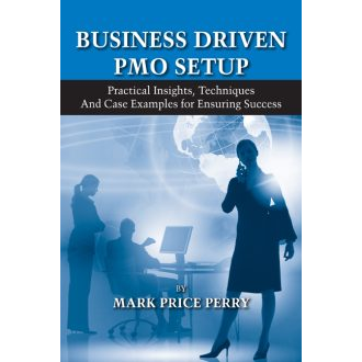 Business Driven PMO Setup